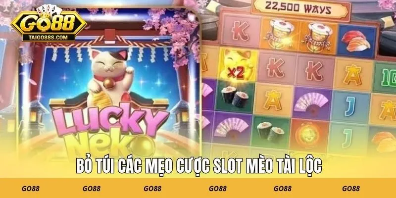 Bỏ túi các mẹo cược slot mèo tài lộc